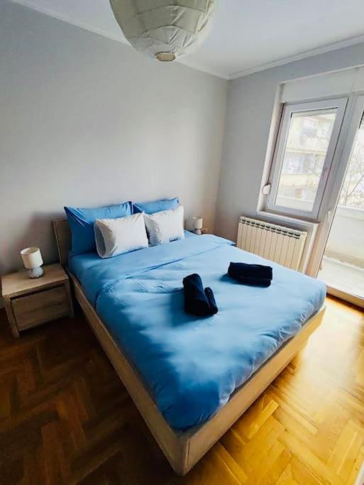 Vracar Hideaway With Private Garage Apartment